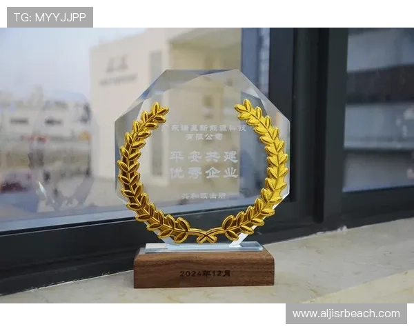 Vini 个人荣誉汇总与展望